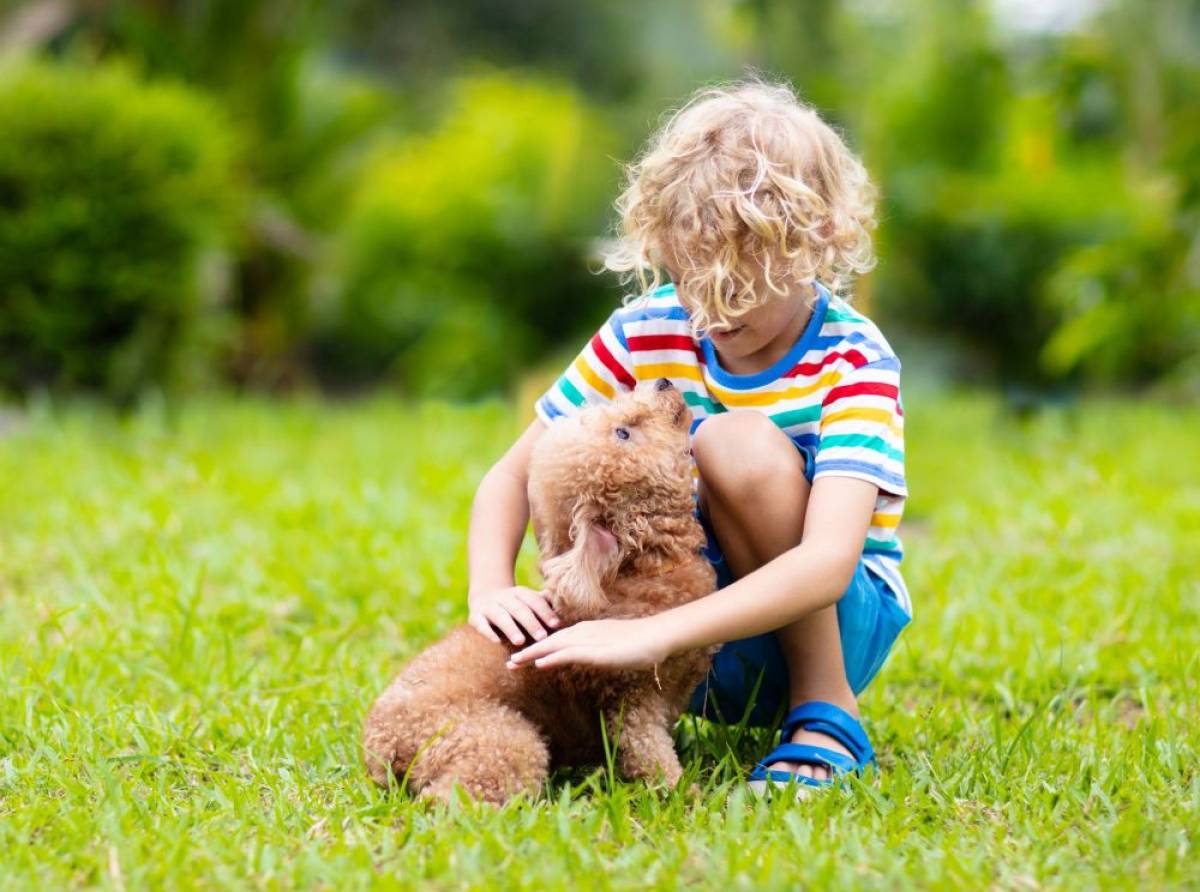 I benefici di una relazione tra bambini e animali. L'importante è imparare a rapportarsi con i pelosi nel modo corretto
