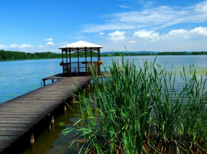 Natura e relax al Lago di Candia tra ucelli e specie arboree. Situato a circa 40 chilometri da Torino