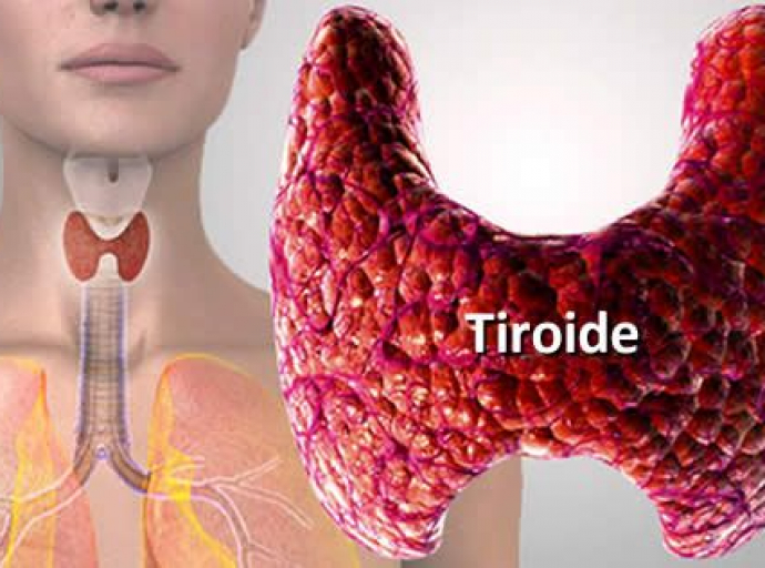 Tiroide, come controllare se funziona bene? E' sufficiente un esame del sangue