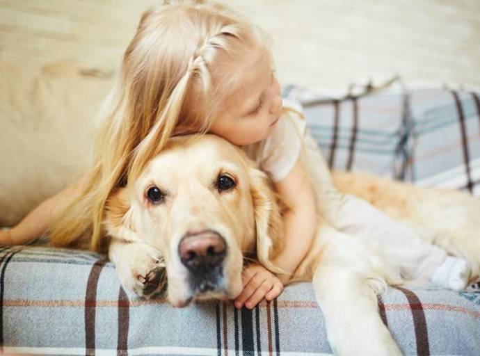 Razze di cani ideali per la famiglia e i bambini. La scelta dipende anche dall'indole dell'animale