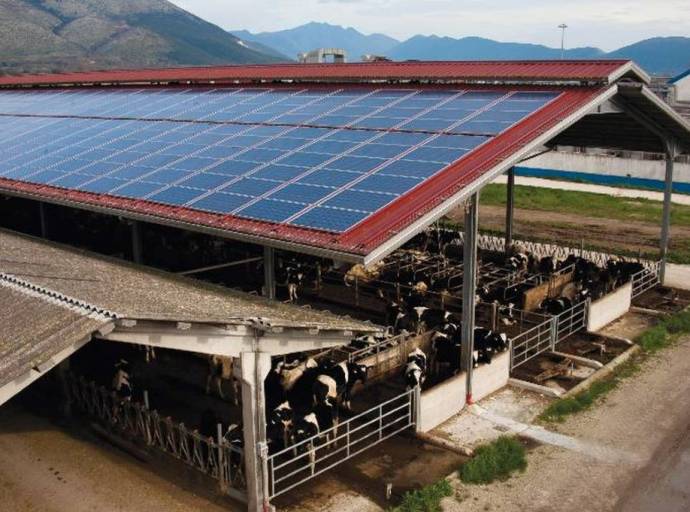 Un miliardo e mezzo di euro dal PNRR per l'installazione di pannelli fotovoltaici su stalle e cascine