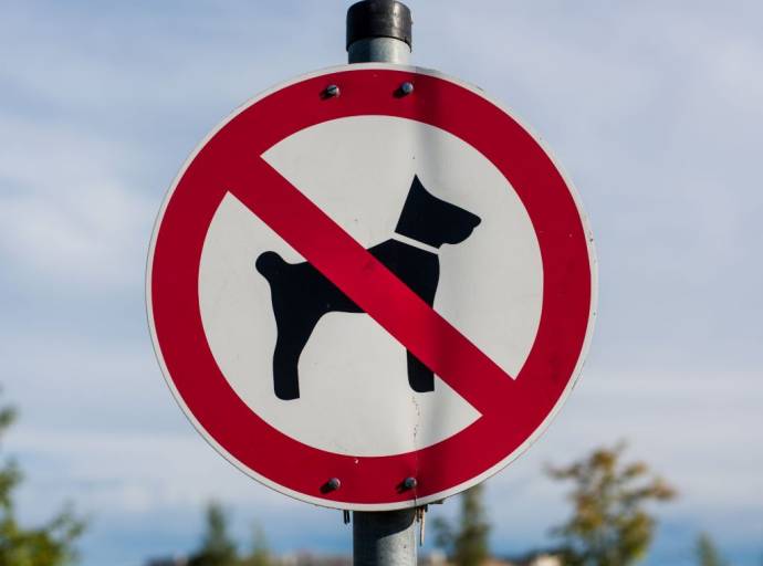 I cani possono tornare nelle aree verdi. Il Tar Piemonte sospende l'ordinanza del Comune, ma era già stata modificata