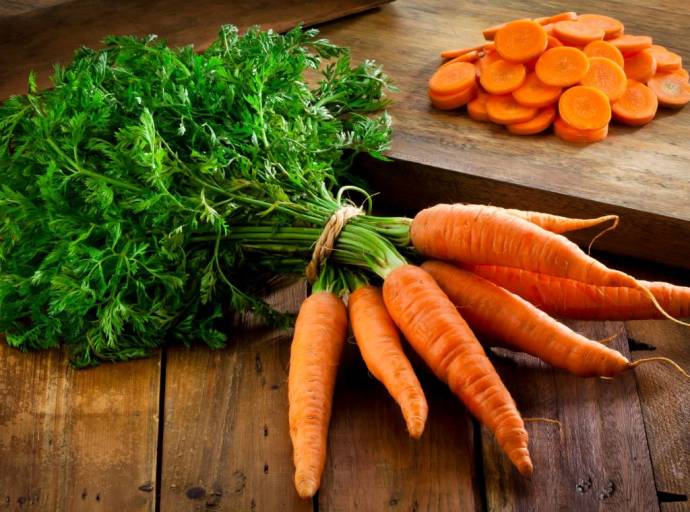 Se volete stare in salute, essere leggeri e pieni di energia fate come Jannik Sinner: mangiate carote