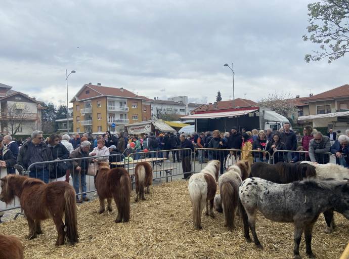 Ciriè festeggia l'arrivo della primavera con la tradizionale Fiera dell'Annunziata e tante novità