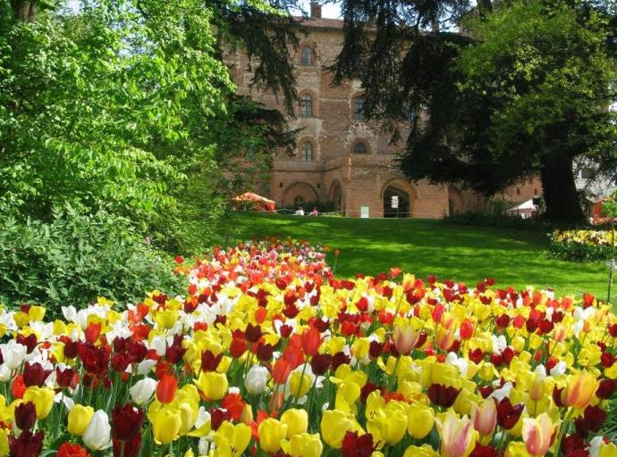 Con 'Messer Tulipano' riapre al pubblico per le visite, il castello. Quest'anno sono 100mila i tulipani tra cui perdersi