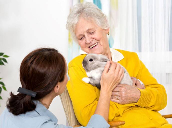 Pet Therapy: cos'è e come funziona. Il contatto con un animale fa bene a tutti, soprattutto anziani e bambini