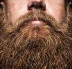 Davvero nella barba ci sono gli stessi batteri del Wc? Simbolo di fascino e virilità è igienica o ricettacolo di germi?