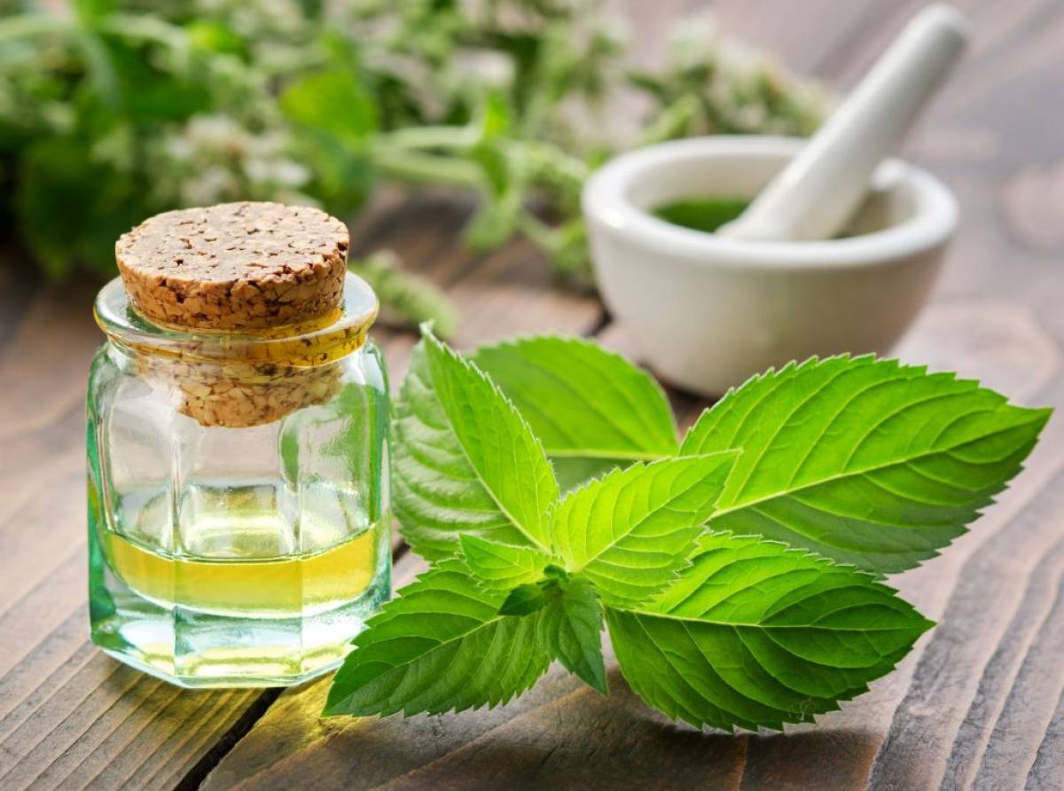 I segreti della menta: dai benefici per la digestione e l'alitosi, alla cucina e alla cosmesi 