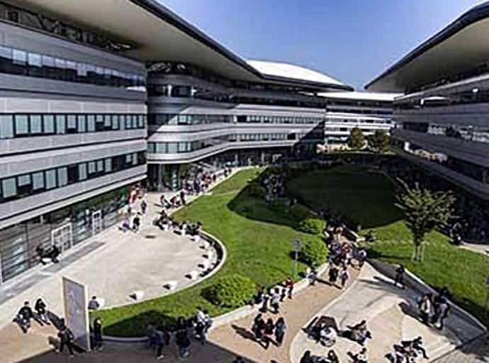 Intelligenza  Artificiale e motori di ricerca. Come cambiano le ricerche dei consumatori e le strategie di mercato. Un incontro con esperti al Campus Einaudi