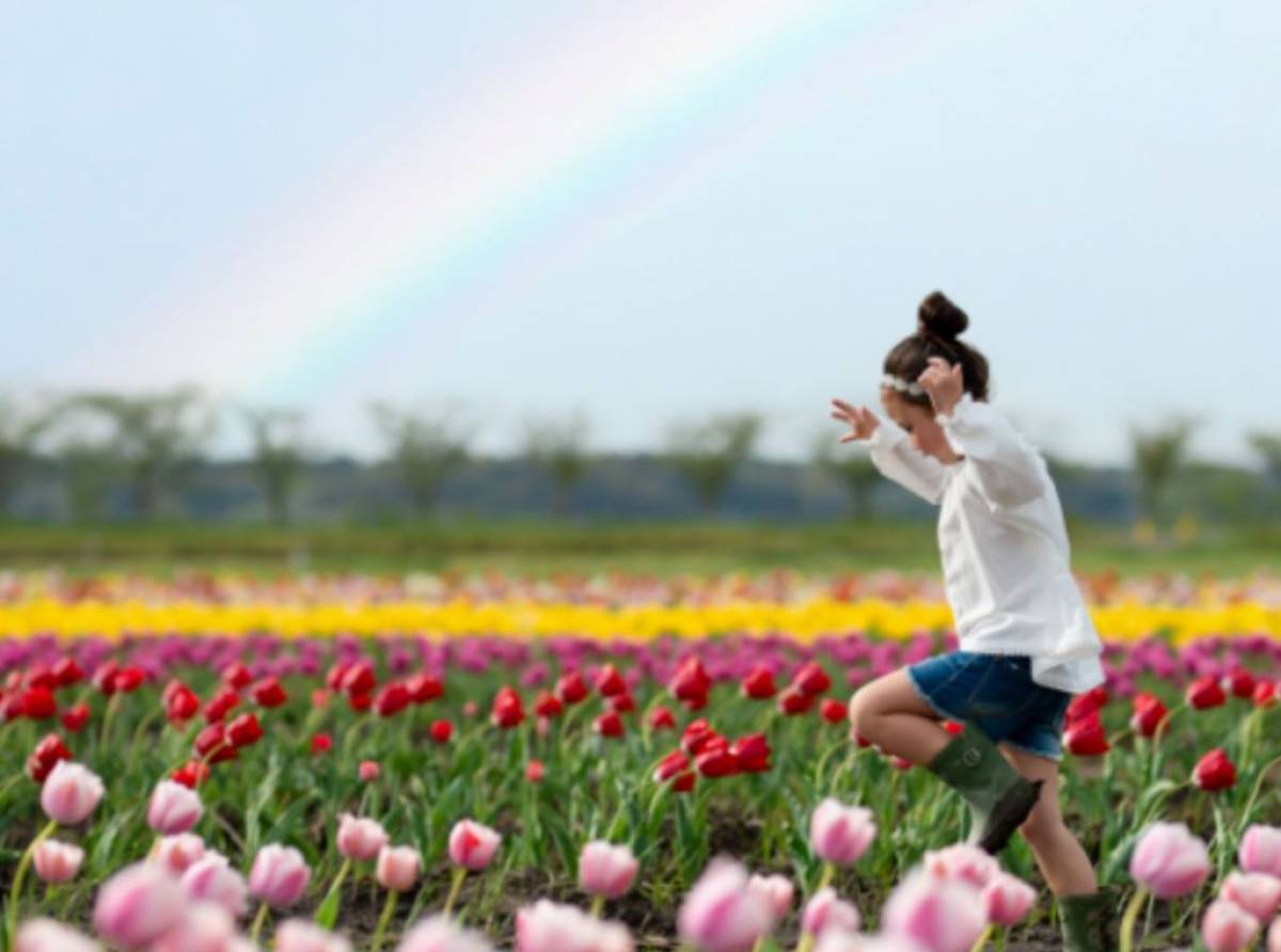 Favria fiorisce con il Villaggio dei Tulipani 2025: un angolo d’Olanda nel cuore del Canavese