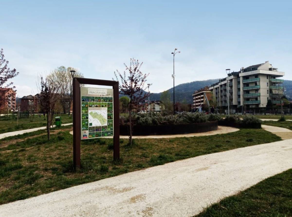 Festival del Verde: laboratori per bambini, incontri con gli autori e lettura all’aperto per riscoprire il legame tra natura, cultura e comunità