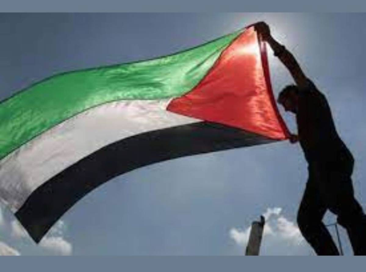  Una fiaccolata per Gaza: l’Anpi scende in piazza per il popolo palestinese per riflettere su diritti umani e responsabilità collettiva