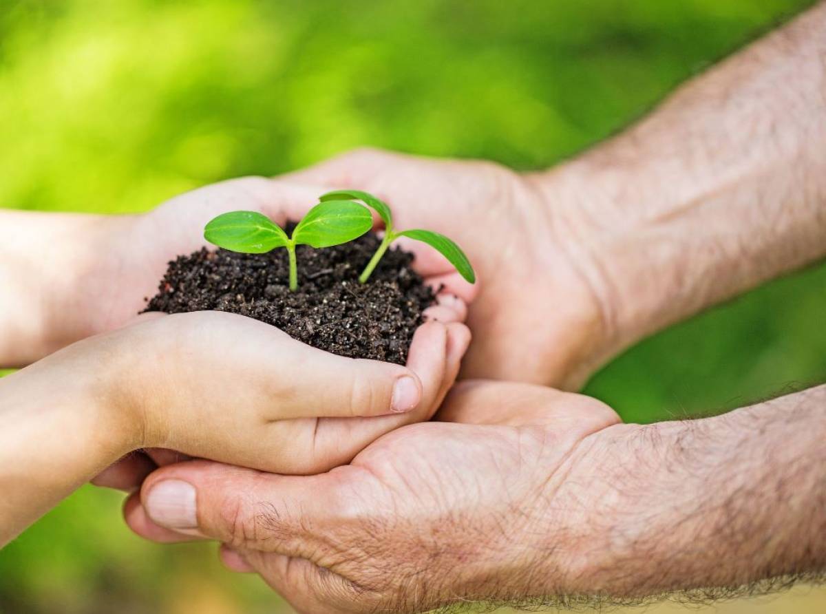 Coldiretti Torino esulta per il via libera al Ddl ‘Coltivaitalia’: un miliardo per semplificazione, innovazione e sostegno alle aziende agricole