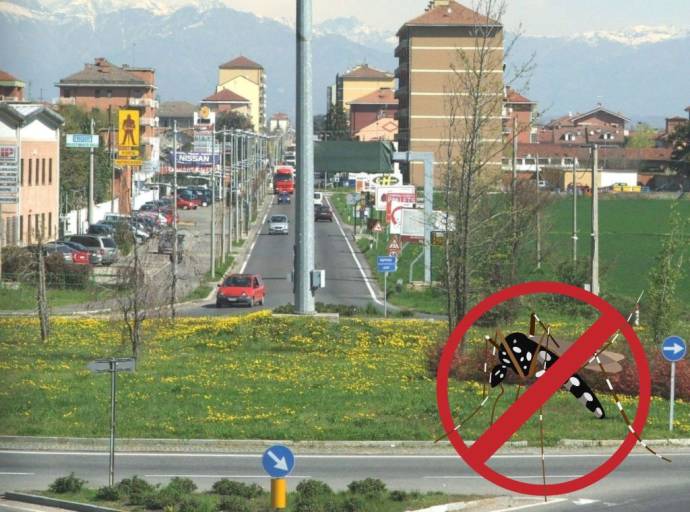 Dalle caditoie spia alle trappole sul territorio: come Mappano sta affrontando da giugno la nuova stagione della guerra alle zanzare