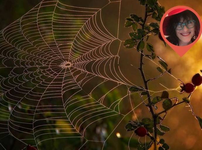 Il vento luminoso dell'estate. Tra il tormento e la quiete, il viaggio segreto verso la pace del cuore e dell'anima