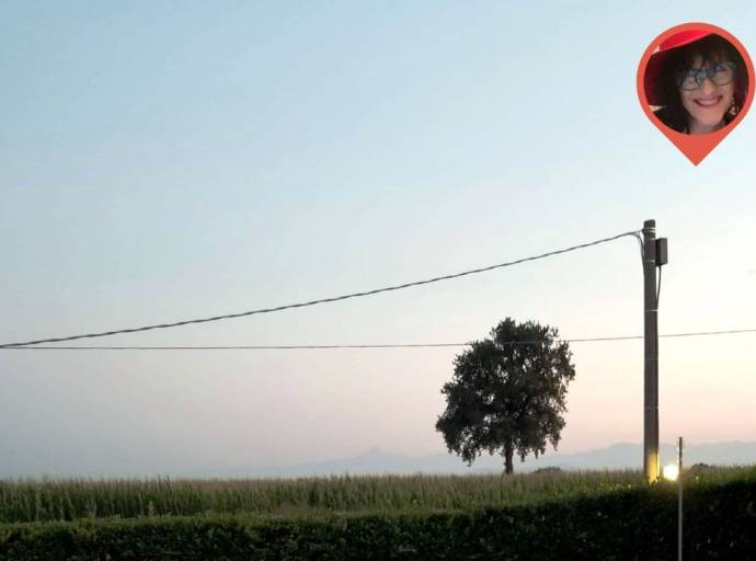 L'albero. Per ricordare che, nonostante le ferite e le pause dolorose, la vita trova sempre il modo di rinascere in silenzio