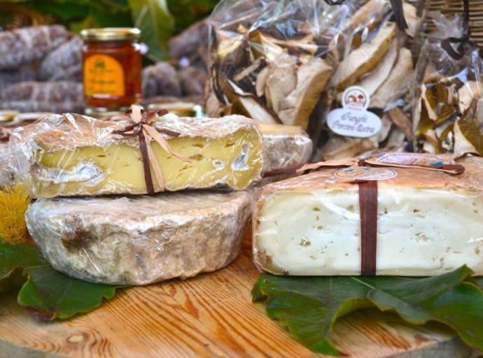 Coazze festeggia il Cevrin: tre giorni di sapori, tradizioni e natura in Val Sangone. Il formaggio Presidio Slow Food che racconta la montagna