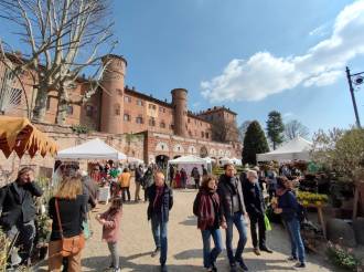 Fiorile 2025 a Moncalieri: il Crisantemo protagonista dell’autunno al Castello Reale tra natura, musica e creatività
