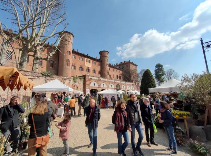 Fiorile 2025 a Moncalieri: il Crisantemo protagonista dell’autunno al Castello Reale tra natura, musica e creatività