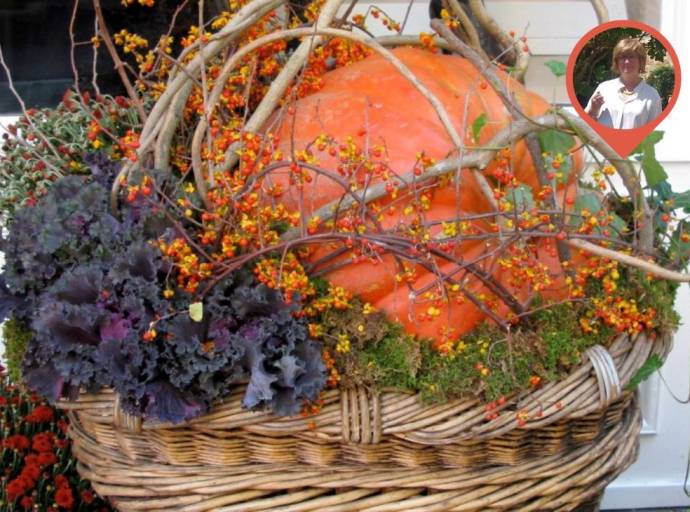 Zucca: proprietà, benefici, varietà e curiosità sull’ortaggio simbolo dell’autunno e di...Halloween
