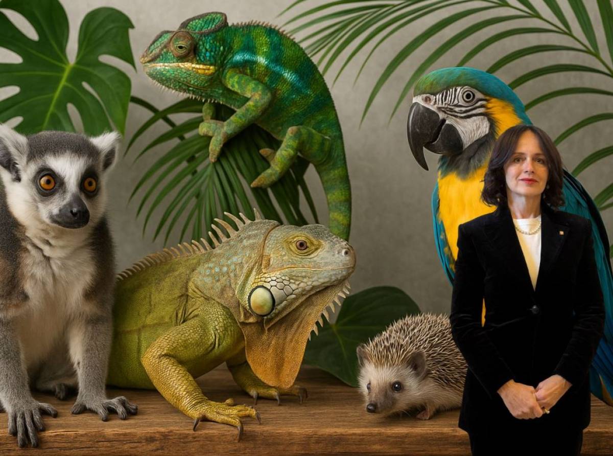 Quando la passione per gli animali incontra la burocrazia: il Piemonte chiede regole più giuste per la pet economy