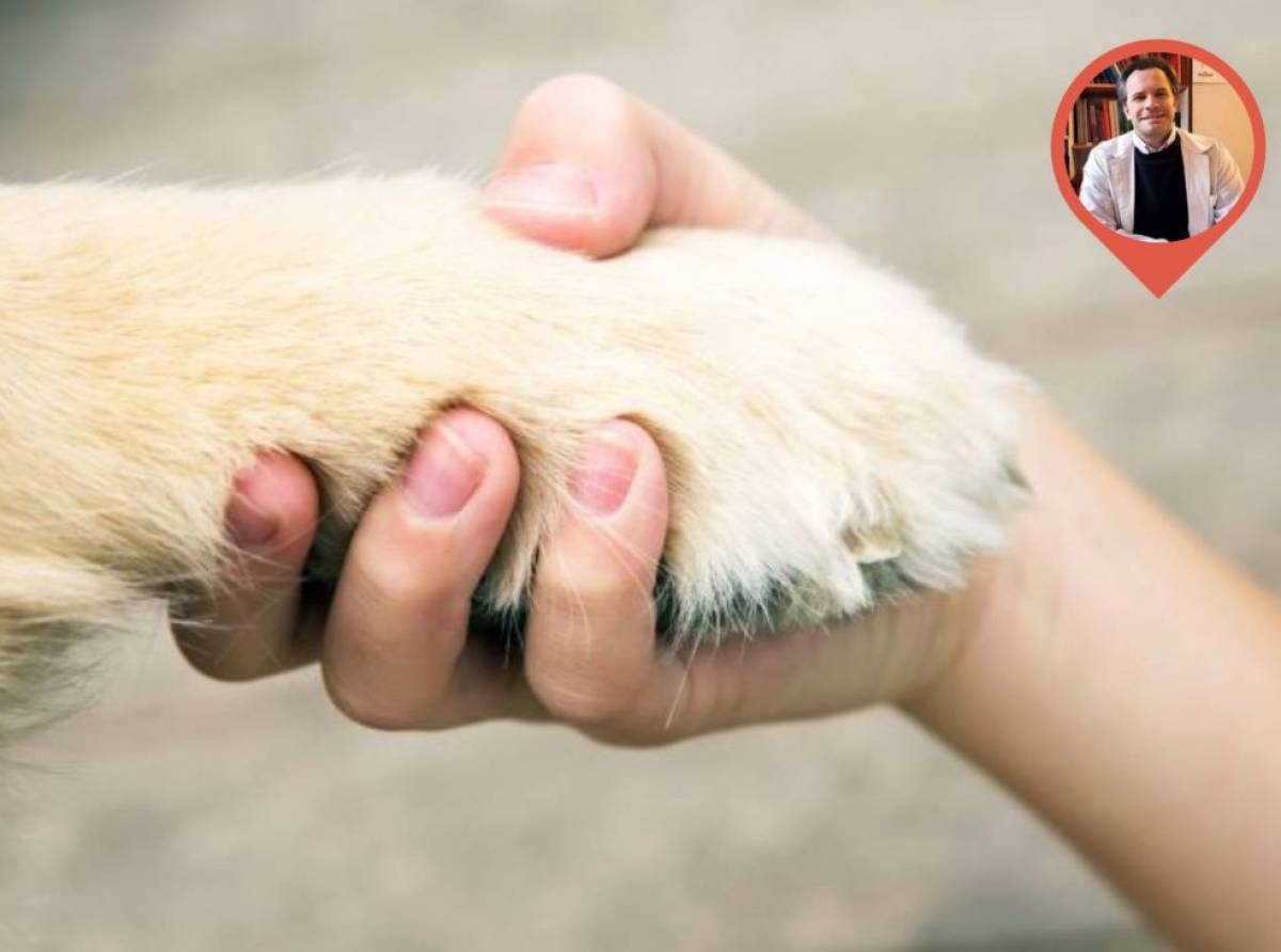 Cosa fare se il nostro cane si rompe un'unghia e comincia a sanguinare copiosamente?