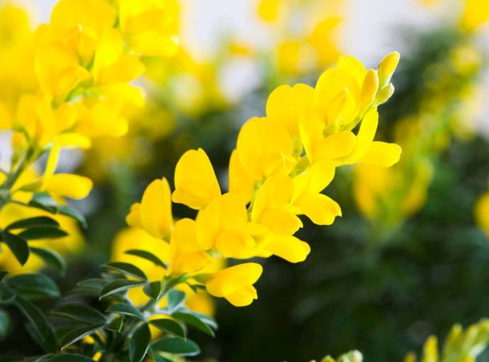 Il ricordo dei tuoi colori. Quando la luce del presente riempie i vuoti degli addi che bruciano