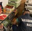 Sicurezza alimentare, stretta dei NAS: nel 2025 a Torino sequestrati 21 quintali di cibo e multe per mezzo milione