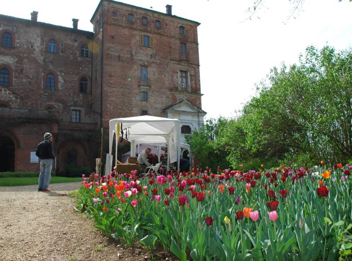 Messer Tulipano 2026: arte, natura e solidarietà tra i tulipani del Castello di Pralormo