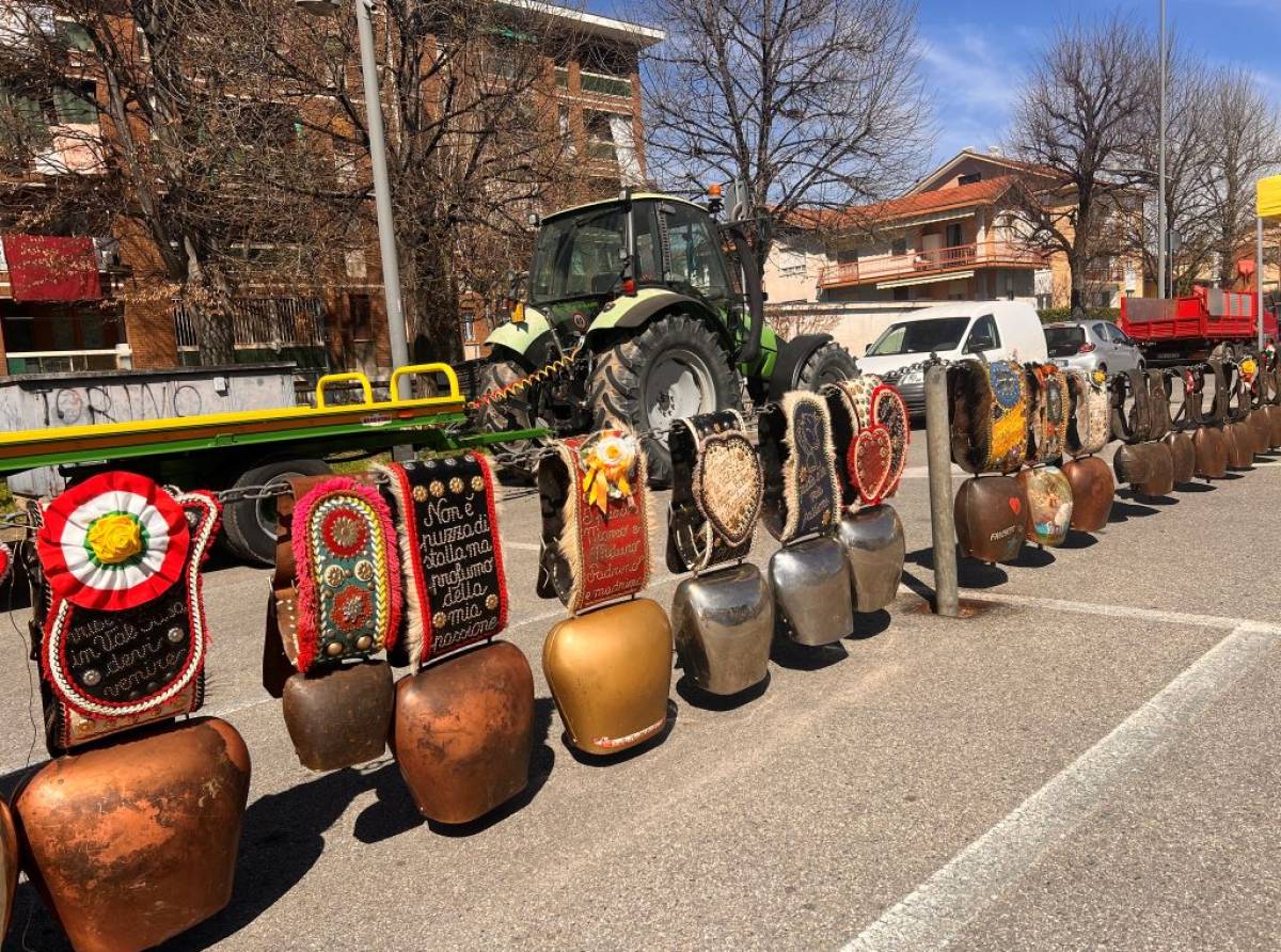 Fiera dell’Annunziata 2026 a Cirié: tradizione, street food, mercato, cultura ed eventi per tutta la famiglia