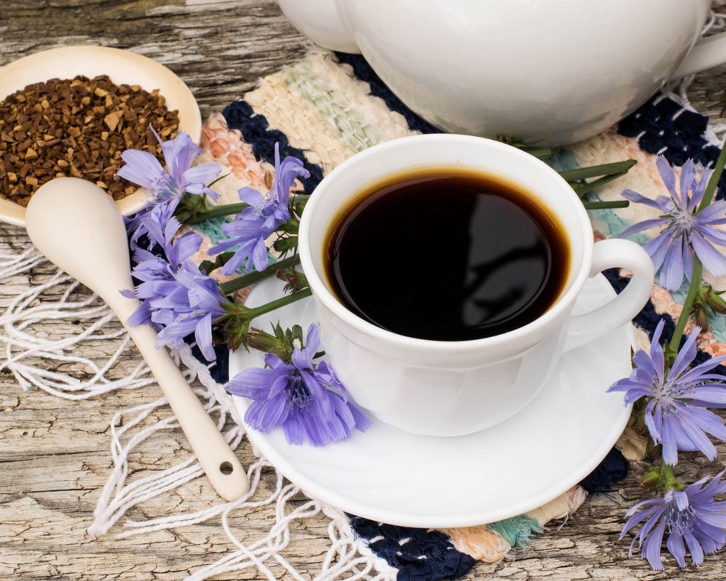 cicoria caffè