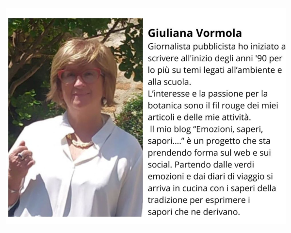 schedina giuliana vormola