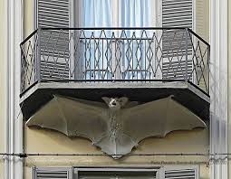 dettaglio palazzo dei pipistrelli Torino