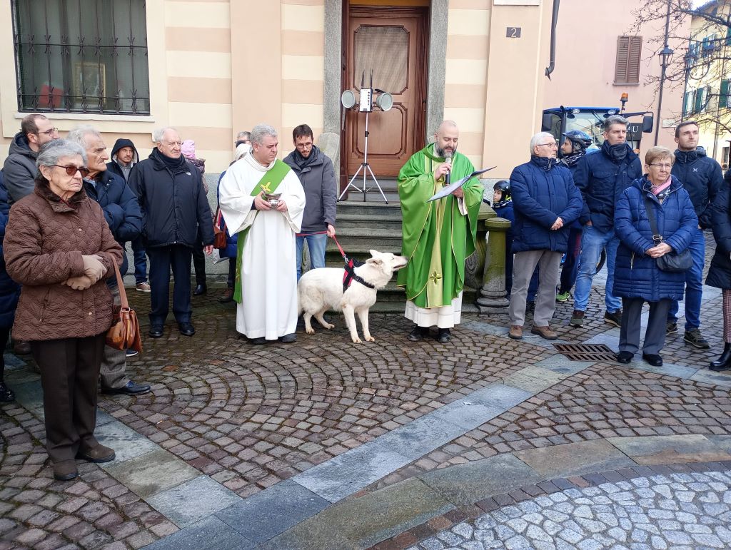 volpiano santAntonio abate 2025 1